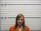 Primary Photo of Brandi Nicole Wolfe. Please refer to the physical description.